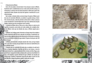 4)Nascimentodosfilhotes
Entreofimdeoutubroeiníciodedezem¬brocomeçamanascerosfilhotes.
Oprimeirosinaléoafunilamentodacova.Aareiaacimadoninhocomeçaase
movimentar,osanimaissaemdacâmaradeposturaesobemparaapartemais
superficial do ninho. Durante cinco dias eles esperam o momento de ir ao en-
controdaságuas.
Nemsempreaninhadaeclodeaomesmotempo.Emgeral,osfilhotessaem
das covas em momentos diferentes, ao anoitecer ou quando começa a chover.
Atéoterceirodiaapósasaídadosprimeirosanimaisdeve-sedeixaroprocesso
ocorrernaturalmente.Somentedepoisdissoéquesefazaaberturadacovapara
facilitarasaídadosquenãoconseguiramnascersozinhos.
A retirada dos filhotes deve ser feita com as mãos. Afasta-se a areia seca da
superfície, escavando a areia úmida com muito cuidado, até a completa retira-
da dos filhotes. Assim que são retirados das covas, os filhotes seguem para o
berçário.
Osfilhotescomumbigogrande,ferimentosoufungosdevemficarisoladose
recebertratamentoantesdeseremcolocadosnosberçários.Otratamentocon-
sisteemcolocaralgumasgotasdeIododiretamentenosferimentosoudeixá-los
porumoudoisdiasembanhodeáguaiodada(10gotasdeiodoparacada100
litrosdeágua).
Os filhotes permanecerão no berçário durante dois meses, até que estejam
comocascoduro.Issofarácomquetenhammaischancesdesobrevivênciaem
seuambientenatural.
O berçário deve ser construído de acordo com as condições de cada local e
com os materiais disponíveis. Seja feita com tela ou com estacas, a cerca do
berçáriodeveráficaraaproximadamente50cmdealturadalinhad’água,para
garantirqueoespaçamentoentreasestacaseviteapresençadepredadoresda
água, como piranhas e jacarés. Há locais em que os filhotes são atacados por
sanguessugas. Também é importante trançar fios de náilon na parte de cima
paradificultaroataquedegaivotas,gaviõeseoutrasavesderapina.
Cova de quelônios
Filhotes de quelônios
EscoladaFlorestaRobervalCardoso–Acre
214
ManualdoTécnicoFlorestal
215
 