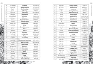 58 Coaçu vermelho Coccolobasp. POLYGONACEAE
59 Coité da mata Couroupitaguianensis LECYTHIDACEAE
60 Copaíba Copaiferamultijuga CAESALPINIACEAE
61 Copinho Lafoensiasp. LYTHRACEAE
62 Cumaru cetim Apuleiamolaris CAESALPINIACEAE
63 Cumaru ferro Dipteryxodorata FABACEAE
64 Embiridiba amarela Terminaliasp. COMBRETACEAE
65 Embiridiba roxa Buchenaviasp. COMBRETACEAE
66 Envira caju Onychopetalumlucidum ANNONACEAE
67 Envira iodo Ampeloceraedentula ULMACEAE
68 Espinheiro preto Acaciapollyphylla MIMOSACEAE
69 Farinha seca Celtissp. ULMACEAE
70 Fava preta Hymenolobiumexcelsum FABACEAE
71 Fava seca Albiziasp. MIMOSACEAE
72 Feijãozinho Clitoriasp. FABACEAE
73 Flôr de são joão Cassialucens CAESALPINIACEAE
74 Freijó preto Cordiagoeldiana BORAGINACEAE
75 Gameleira Ficussp. MORACEAE
76 Gamelinha Ficusgomelleira MORACEAE
77 Grão de galo Tabernaemontanaheptanphyllum APOCYNACEAE
78 Guaribeiro Phyllocarpusriedelii CAESALPINIACEAE
79 Guariúba Clarisiaracemosa MORACEAE
80 Guariúba branca Batocarpussp. MORACEAE
81 Guariúba roxa Clarisiailicifolia MORACEAE
82 Ingá chata Ingamarginata MIMOSACEAE
83 Ingá ferro Ingasp. MIMOSACEAE
84 Ingá peluda Ingavelutina MIMOSACEAE
85 Inga preta Ingasp. MIMOSACEAE
86 Ingá vermelho Ingathibaldiana MIMOSACEAE
87 Inharé Brosimumalicastrum MORACEAE
88 Inharé mole Brosimumguianense MORACEAE
89 Ipê amarelo Tabebuiaserratifolia BIGNONIACEAE
90 Itaúba roxa Heisteriaovata OLACACEAE
91 Jaca brava Soroceaguilleminiana MORACEAE
92 Jacarandá Dalbergiaamazonicum FABACEAE
93 Jaracatiá Jacaratiaspinosa CARICACEAE
94 Jatobá Hymenaeacourbaril CAESALPINIACEAE
95 Jenipapinho Zollerniaparaensis CAESALPINIACEAE
96 Jenipapo Genipaamericana LECYTIDACEAE
97 Jitó Guareaconvergens MELIACEAE
98 Jitó casca grossa Guareasp. MELIACEAE
99 Jitó de terra firme Guareapterorachis MELIACEAE
100 João mole Neeasp. NYCTAGINACEAE
101 Jutaí Hymenaeaoblongifolia CAESALPINIACEAE
102 Laranjinha Caseariagossypiospermum FLACOURTIACEAE
103 Limãozinho Zanthoxylumrhoifolium RUTACEAE
104 Lombrigueiro Cassiasp. CAESALPINIACEAE
105 Louro abacate Ocoteamiriantha LAURACEAE
106 Louro casca grossa Ocoteasp. LAURACEAE
107 Louro pixurí Ocoteasp. LAURACEAE
108 Louro preto Ocoteaneesiana LAURACEAE
109 Louro seda Ocoteasp. LAURACEAE
110 Macacaúba Platymisciumduckei FABACEAE
111 Macucú sangue Licanialatifolia CHRYSOBALANACEAE
112 Malva vermelha Lueheopsisrosea TILIACEAE
113 Manga de anta Diclinanonasp. ANNONACEAE
114 Manitê Brosimumuleanum MORACEAE
115 Maparajuba Pouteriasp. SAPOTACEAE
116 Marachimbé branco Trichiliapoeppigii MELIACEAE
117 Marachimbé vermelho Trichiliapallida MELIACEAE
118 Marfim branco Agonandrabrasiliensis OPILIACEAE
EscoladaFlorestaRobervalCardoso–Acre
252
ManualdoTécnicoFlorestal
253
 