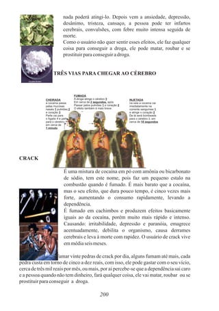 CHEIRADA
a cocaína passa
pelas mucosas
nasais 1 pulmões 2
e coração 3
Parte vai para
o fígado 4 e parte
para o cérebro
em cerca de
1 minuto
FUMADA
A droga atinge o cérebro 3
Em cerca de 2 segundos, após
Passar pelos pulmões 1 e coração 2
O efeito também é mais breve
INJETADA
na veia a cocaína cai
imediatamente na
corrente sanguínea 1
e atinge o coração 2
De lá será bombeada
para o cérebro 3, em
cerca de 10 segundos
200
 