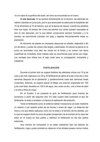 10 cm sobre la superficie del suelo, tal como se encontraba en el vivero.
A raíz desnuda. Si se sembró directamente en el terreno, las plántulas se
habrán injertado en junio-julio, por lo que alcanzarán la edad para el trasplante del
15 de
, y podar las raíces más largas y lastimadas. Al colocar la planta en el
surco
diciembre al 15 de febrero, que es la época de reposo, cuando los arbolitos
tiran sus hojas. Al extraer del vivero las plantas sus raíces quedan expuestas al
aire (a raíz desnuda), por lo que deben conservarse siempre húmedas y a la
sombra; se recomienda cubrirlas con paja y regarlas frecuentemente hasta su
plantación.
Al momento de plantar es necesario despuntar el arbolito, dejándolo a 80
cm de altura
se acomodan muy bien las raíces en el fondo y se cubren con tierra
superficial de inmediato. Este método sólo se recomienda para zonas con riego.
Las ventajas que ofrece son el bajo costo para su propagación, transporte y
trasplante.
FERTILIZACIÓN
urante el primer año se sugiere fertilizar las plántulas chicas con 15 g de
urea y las más vigorosas con 30 aplica al suelo a las dos o tres
seman
gundo año. En este cuadro está contenido el tipo de
fertiliza
distancia del
tronco
riego y poda consiste en observar si los árboles poseen ramos mixtos
D
g. El fertilizante se
as después de la plantación, y posteriormente cada seis semanas hasta
noviembre. Además, se sugiere aplicar al follaje una solución preparada con 100
g de urea foliar disueltos en 100 It de agua, dos veces al año, una a fines de abril
y la otra a fines de mayo.
En el Cuadro 3 se presenta la guía de fertilización para huertos de
duraznero a partir del se
nte, la dosis a emplear y la época de aplicación del producto.
Tanto el fertilizante como el estiércol deben incorporarse al suelo mediante
un rastreo o con azadón antes de las lluvias o antes de regar. La
a la que deben aplicarse varía con la edad y el tamaño de los árboles, por
lo que se sugiere dividir la zona de goteo (proyección de la sombra de la copa del
árbol en el suelo) en tres partes y distribuir el fertilizante en las dos partes
exteriores.
Una manera de comprobar si se están realizando bien las labores de
fertilización,
 