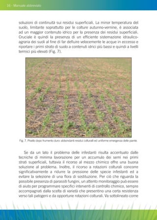 16 - Manuale abbreviato
soluzioni di continuità sui residui superficiali. La minor temperatura del
suolo, limitante soprattutto per le colture autunno-vernine, è associata
ad un maggior contenuto idrico per la presenza dei residui superficiali.
Cruciale è quindi la presenza di un efficiente sistemazione idraulico-
agraria dei suoli al fine di far defluire velocemente le acque in eccesso e
riportare i primi strato di suolo a contenuti idrici più bassi e quindi a livelli
termici più elevati (Fig. 7).
Se da un lato il problema delle infestanti risulta accentuato dalle
tecniche di minima lavorazione per un accumulo dei semi nei primi
strati superficiali, tuttavia il ricorso al mezzo chimico offre una buona
soluzione al problema. Inoltre, il ricorso a rotazioni colturali concorre
significativamente a ridurre la pressione delle specie infestanti ed a
evitare la selezione di una flora di sostituzione. Per ciò che riguarda la
possibile presenza di parassiti fungini, un attento monitoraggio può essere
di aiuto per programmare specifici interventi di controllo chimico, sempre
accompagnati dalla scelta di varietà che presentino una certa resistenza
verso tali patogeni e da opportune rotazioni colturali. Va sottolineato come
Fig. 7. Pisello dopo frumento duro: abbondanti residui colturalli ed uniforme emergenza delle piante.
 