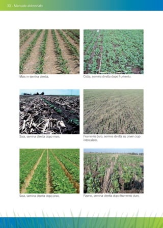 30 - Manuale abbreviato
Colza, semina diretta dopo frumento.
Frumento duro, semina diretta su cover crop
intercalare.
Favino, semina diretta dopo frumento duro.
Mais in semina diretta.
Soia, semina diretta dopo mais.
Soia, semina diretta dopo orzo.
 