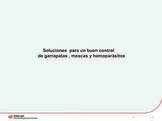 Soluciones  para un buen control  de garrapatas , moscas y hemoparásitos  