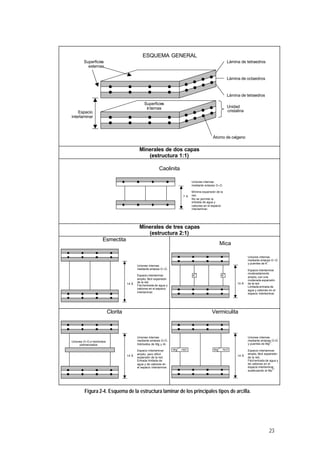 ESQUEMA GENERAL
        Superficies                                                                                             Lámina de tetraedros
          externas

                                                                                                                Lámina de octaedros



                                                                                                                Lámina de tetraedros

                                                 Superficies
                                                  in ternas                                                     Unidad
    Espacio                                                                                                     cristalina
interlaminar



                                                                                                  Átomo de oxígeno

                                             Minerales de dos capas
                                                (estructura 1:1)

                                                             Caolinita

                                                                                   Uniones internas
                                                                                   mediante enlaces O–O.

                                                                                   Mínima expansión de la
                                                                              7Å   red.
                                                                                   No se permite la
                                                                                   entrada de agua y
                                                                                   cationes en el espacio
                                                                                   interlaminar.




                                             Minerales de tres capas
                                                (estructura 2:1)
                     Esmectita
                                                                                                      Mica

                                                                                                                             Uniones internas
                                                                                                                             mediante enlaces O –O
                                                                                                                                           +
                                                                                                                             y puentes de K .
                                            Uniones internas
                                            mediante enlaces O –O.                                                           Espacio interlaminar
                                                                                     +                      +                moderadamente
                                            Espacio interlaminar                   K                      K
                                                                                                                             amplio, con una
                                            amplio, fácil expansión                                                          moderada expansión
                                            de la red.                                                                10 Å   de la red.
                                     14 Å
                                            Fácil entrada de agua y                                                          Limitada entrada de
                                            cationes en el espacio
                                                                                                                             agua y cationes en el
                                            interlaminar.                                                                    espacio interlaminar.




                           Clorita                                                               Vermiculita



                                            Uniones internas                                                                 Uniones internas
Uniones O–O e hidróxidos                    mediante enlaces O–O,                                                            mediante enlaces O–O,
                                                                                                                                             2+
     polimerizados                          hidróxidos de Mg y Al.                                                           y puentes de Mg .
                                                                         2+                          2+
                                            Espacio interlaminar       Mg · H2O                   Mg · H2 O                  Espacio interlaminar
                                            amplio, pero difícil                                                             amplio, fácil expansión
                                     14 Å                                                                             14 Å
                                            expansión de la red.                                                             de la red.
                                            Entrada limitada de                                                              Fácil entrada de agua y
                                            agua y de cationes en                                                            de cationes en el
                                            el espacio interlaminar.                                                         espacio interlaminar,
                                                                                                                                                2+
                                                                                                                             sustituyendo al Mg .




         Figura 2-4. Esquema de la estructura laminar de los principales tipos de arcilla.




                                                                                                                                             23
 