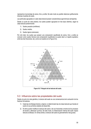 representa el porcentaje de arena, limo y arcilla. De este modo es posible relacionar gráficamente
diversas muestras de suelo.
Las partículas agrupadas en cada clase textural poseen características agronómicas semejantes.
Desde un punto de vista práctico, los suelos pueden agruparse en tres tipos distintos, según la
clase textural predominante:
    1) Suelos pesados (arcillosos).
    2) Suelos medios.
    3) Suelos ligeros (arenosos).
Por otro lado, los suelos que poseen una composición equilibrada de arena, limo y arcilla se
conocen como suelos francos (una composición equilibrada no quiere decir un reparto equitativo
entre las tres fracciones, tal y como se muestra en la Figura 5-5).




                                                                 100

                                                            90              10

                                                       80                        20

                                                  70                                  30
                                                                 ARCILLOSO
                                             60                                            40             LIMO

                    ARCILLA                                                                     50
                                        50

                                   40                                                                60

                             30                                                                           70

                        20                                                                                     80
                                                  FRANCO
                                                                                      LIMOSO
                   10                                                                                               90
                        ARENOSO
                                                                                                                         100
                  100        90         80        70        60         50   40        30        20        10

                                                                 ARENA




                                  Figura 5-5. Triángulo de las texturas del suelo.




5.3 Influencia sobre las propiedades del suelo
Desde el punto de vista genético, la textura del suelo es una consecuencia de la actuación de los
factores formadores:
    1) Cada tipo de litología tiende a originar un determinado tipo de clase textural que hereda el
       suelo en sus primeros estados de desarrollo.
    2) El clima puede modificar la textura del suelo o de sus horizontes a través de los procesos
       de lavado y alteración química. De este modo, la meteorización intensa del suelo origina
       texturas arcillosas. En climas áridos, la textura del suelo es generalmente más gruesa.




                                                                                                                               59
 