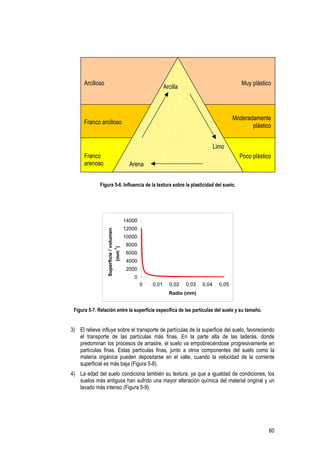 Arcilloso                                                                                 Muy plástico
                                                            Arcilla



                                                                                             Moderadamente
      Franco arcilloso
                                                                                                    plástico


                                                                                    Limo
      Franco                                                                                   Poco plástico
      arenoso                              Arena


             Figura 5-6. Influencia de la textura sobre la plasticidad del suelo.




                                         14000
                                         12000
                  Superficie / volumen




                                         10000
                                          8000
                        (mm-1)




                                          6000
                                          4000
                                          2000
                                             0
                                                 0   0,01     0,02    0,03   0,04     0,05
                                                              Radio (mm)


 Figura 5-7. Relación entre la superficie específica de las partículas del suelo y su tamaño.


3) El relieve influye sobre el transporte de partículas de la superficie del suelo, favoreciendo
   el transporte de las partículas más finas. En la parte alta de las laderas, donde
   predominan los procesos de arrastre, el suelo va empobreciéndose progresivamente en
   partículas finas. Estas partículas finas, junto a otros componentes del suelo como la
   materia orgánica pueden depositarse en el valle, cuando la velocidad de la corriente
   superficial es más baja (Figura 5-8).
4) La edad del suelo condiciona también su textura, ya que a igualdad de condiciones, los
   suelos más antiguos han sufrido una mayor alteración química del material original y un
   lavado más intenso (Figura 5-9).




                                                                                                           60
 