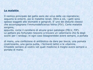 Le malattie   Il nemico principale del gatto sono dei virus delle vie repiratorie;  seguono le enteriti, poi le malattie renali. Oltre a ciò, i gatti sono  spesso soggetti alle stomatiti e gengiviti. E’ uno dei disturbi classici  che accompagnano l’immunodeficienza felina (FIV). Certe malattie sorgono,  appunto, come il corollario di alcune gravi patologie (FELV, FIP).  Le gattare più fortunate riescono a trovare un veterinario che fa degli  sconti per i randagi; in ogni caso bisognerebbe avere sempre, a portata  di mano, una confezione di antibiotico da dare per bocca, una pomata  cicatrizzante, una garza pulita, i fermenti lattici e le vitamine.  Chiedete sempre al vostro vet quali medicine è meglio avere sempre a  portata di mano. 