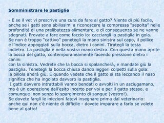 Somministrare le pastiglie - E se il vet vi prescrive una cura da fare al gatto? Niente di più facile,  anche se i gatti sono abilissimi a riconoscere la compressa “sepolta” nelle  profondità di una prelibatezza alimentare, e di conseguenza se ne vanno  sdegnati. Provate a fare come faccio io: cacciargli la pastiglia in gola. Se non è troppo “cattivo” ponetegli la mano sinistra sul capo, il pollice   e l’indice appoggiati sulla bocca, dietro i canini. Tirategli la testa  indietro. La pastiglia è nella vostra mano destra. Con questa mano aprite  la bocca del gatto, contemporaneamente facendo pressione dietro i canini  con la sinistra. Vedrete che la bocca si spalancherà, e mandate giù la  pastiglia. Tenetegli la bocca chiusa dando leggeri colpetti sulla gola:  la pillola andrà giù. E quando vedete che il gatto si sta leccando il naso  significa che ha ingoiato davvero la pastiglia.  I gatti davvero intrattabili vanno bendati o avvolti in un asciugamano,  ma è un operazione dall’esito incerto per voi e per il gatto stesso, e  comunque  non senza lo spargimento di sangue (vostro!). Se dovete fargli le iniezioni fatevi insegnare prima dal veterinario:  anche qui non c’è niente di difficile - dovete imparare a farlo se volete  bene al gatto! 