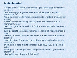 Le sterilizzazioni   - Esiste ancora la convinzione che i gatti sterilizzati cambiano il carattere  diventando pigri e grossi. Niente di più sbagliato! Facendo sterilizzare la  femmina eviterete le nascite indesiderate (i gattini finiscono per strada)  e anche i rischi che comporta la pillola ormonale (i tumori mammari). E per  quel che riguarda il maschio è l’unico modo per farlo smettere di marcare  tutti gli oggetti in casa spruzzandoli. Inoltre gli risparmierete le risse,  le ferite, e anche la brutta fine sotto le ruote di una macchina, perché un  maschio intero è girovago. Non dimenticate anche che per via sessuale si  trasmettono delle malattie mortali quali FIV, FELV e FIP, che a volte  rimangono subdole per anni scoppiando quando il gatto diventa anziano, e  altre volte sono davvero fulminanti!  