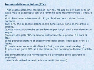 Immunodeficienza felina (FIV)   - Non è assolutamente contagiosa  per noi, ma per gli altri gatti sì se un  gatto malato si accoppia con una femmina sana trasmettendole il virus, o se  si picchia con un altro maschio. Al gattile dove presto aiuto ci sono parecchi  gatti FIV, che in genere stanno molto bene (alcuni sono anche grassi e obesi!). Questa malattia potrebbe essere latente per lunghi anni e non dare alcun segno  (conosco dei gatti FIV che hanno brillantemente superato i 15 anni di età),  come potrebbe portare al deperimento degli organi vitali quali i reni e il fegato  (fu così che mi sono morti  Gianni e Sirio, due sfortunati randagi…).  In genere un gatto FIV, se è sterilizzato, non ha bisogno di essere isolato e  può condurre una vita normalissima se si tengono sotto controllo le eventuali  malattie da raffreddamento e le stomatiti (frequenti). 