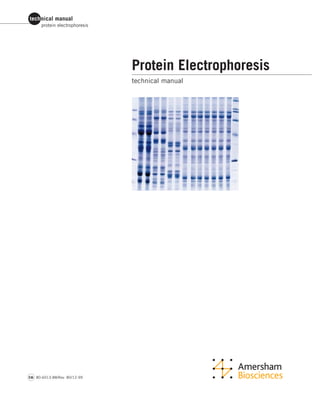 technical manual
protein electrophoresis
tm 80-6013-88/Rev. B0/12-99
Protein Electrophoresis
technical manual
 