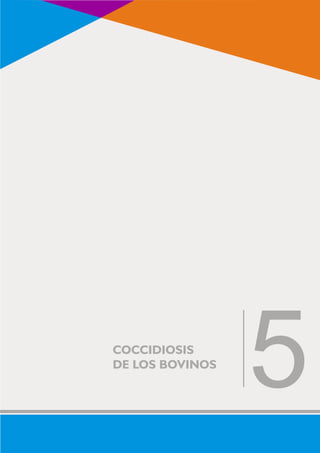 COCCIDIOSIS 5 
DE LOS BOVINOS 
 