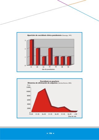 Aparición de coccidiosis clínica postdestete (Rossanigo, 1997) 
Coccidiosis en guachera 
15 20 
Dinámica de eliminación de ooquistes (Sánchez-Romero, 2003) 
O.p.g 
12000 
10000 
8000 
6000 
4000 
0 
15-20 21-25 26-30 31-35 36-40 41-45 46-50 >50 
Días de vida 
2000 
3 
2 
1 
0 
22 25 35 38 45 
días de postdestete 
106 
 