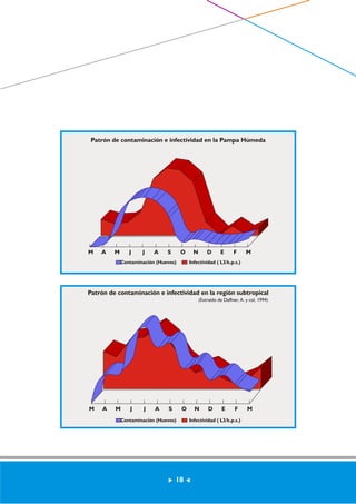 Patrón de contaminación e infectividad en la Pampa Húmeda 
M A M J J A S O N D E F M 
Contaminación (Huevos) Infectividad ( L3/k.p.s.) 
Patrón de contaminación e infectividad en la región subtropical 
(Extraído de Daffner, A. y col, 1994) 
M A M J J A S O N D E F M 
Contaminación (Huevos) Infectividad ( L3/k.p.s.) 
18 
 