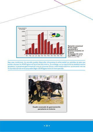Variación estacional 
de las cargas 
parasitarias y 
géneros actuantes en 
la recría 
de bovinos de carne 
en el NEA (extraído de 
Daffner, A. y cd, 1990) 
Carga parasitaria 
en animales 
Abr May Jun Jul Ago Set Oct Nov Dic Ene Feb Mar 
25000 
20000 
15000 
10000 
5000 
0 
Oeste 
Haem 
Coop 
Trich 
Bajo esas condiciones, los animales pueden desarrollar clínicamente la enfermedad con pérdidas de peso que 
pueden alcanzar los 40-60 kg/animal hacia fines del invierno. Sin embargo, en la mayoría de los establecimientos 
ganaderos, la parasitosis gastrointestinal cursa sin síntomas clínicos -enfermedad subclínica- provocando mermas 
en la producción de carne que pueden llegar a 20-40 kg/animal en el mismo período. 
Cuadro avanzado de gastroenteritis 
parasitaria en invierno 
22 
 