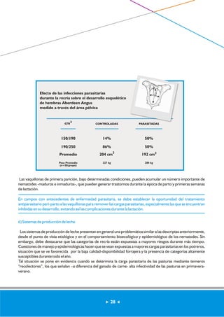 Efecto de las infecciones parasitarias 
durante la recría sobre el desarrollo esquelético 
de hembras Aberdeen Angus 
medido a través del área pélvica 
cm2 CONTROLADAS PARASITADAS 
150/190 14% 50% 
190/250 86% 50% 
Promedio 204 cm2 192 cm2 
Peso Promedio 
(n=50/grupo) 
327 kg 284 kg 
Las vaquillonas de primera parición, bajo determinadas condiciones, pueden acumular un número importante de 
nematodes -maduros e inmaduros-, que pueden generar trastornos durante la época de parto y primeras semanas 
de lactación. 
En campos con antecedentes de enfermedad parasitaria, se debe establecer la oportunidad del tratamiento 
antiparasitario peri-parto a las vaquillonas para remover las cargas parasitarias, especialmente las que se encuentran 
inhibidas en su desarrollo, evitando así las complicaciones durante la lactación. 
d) Sistemas de producción de leche 
Los sistemas de producción de leche presentan en general una problemática similar a las descriptas anteriormente, 
desde el punto de vista etiológico y en el comportamiento bioecológico y epidemiológico de los nematodes. Sin 
embargo, debe destacarse que las categorías de recría están expuestas a mayores riesgos durante más tiempo. 
Cuestiones de manejo y epidemiológicas hacen que se vean expuestas a mayores cargas parasitarias en los potreros, 
situación que se ve favorecida por la baja calidad-disponibilidad forrajera y la presencia de categorías altamente 
susceptibles durante todo el año. 
Tal situación se pone en evidencia cuando se determina la carga parasitaria de las pasturas mediante terneros 
“recolectores”, los que señalan –a diferencia del ganado de carne- alta infectividad de las pasturas en primavera-verano. 
28 
 