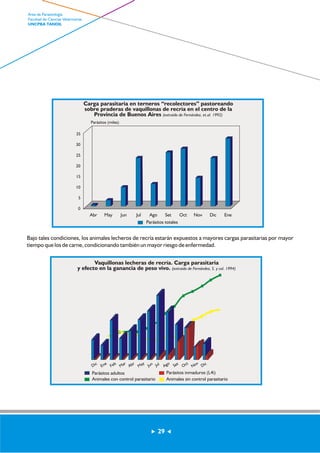 Carga parasitaria en terneros “recolectores” pastoreando 
sobre praderas de vaquillonas de recría en el centro de la 
Provincia de Buenos Aires (extraído de Fernández, et.al. 1992) 
Vaquillonas lecheras de recría. Carga parasitaria 
35 
30 
25 
20 
15 
10 
5 
y efecto en la ganancia de peso vivo. (extraído de Fernández, S. y col. 1994) 
Dic 
Ene 
Feb 
Mar 
Abr 
May 
Jun 
Jul 
Ago 
Set 
Oct 
Nov 
Dic 
Parásitos adultos Parásitos inmaduros (L4i) 
Animales con control parasitario Animales sin control parasitario 
0 
Parásitos (miles) 
Abr May Jun Jul Ago Set Oct Nov Dic Ene 
Parásitos totales 
Bajo tales condiciones, los animales lecheros de recría estarán expuestos a mayores cargas parasitarias por mayor 
tiempo que los de carne, condicionando también un mayor riesgo de enfermedad. 
29 
Area de Parasitología 
Facultad de Ciencias Veterinarias 
UNCPBA TANDIL 
 