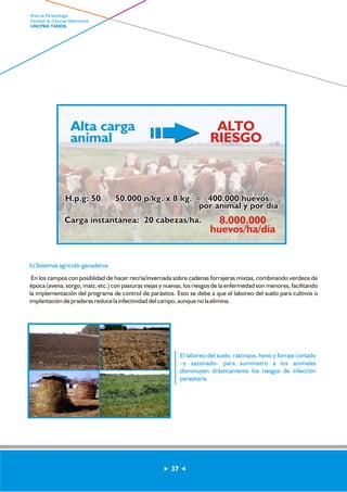 b) Sistemas agricolo-ganaderos 
En los campos con posiblidad de hacer recría/invernada sobre cadenas forrajeras mixtas, combinando verdeos de 
época (avena, sorgo, maíz, etc.) con pasturas viejas y nuevas, los riesgos de la enfermedad son menores, facilitando 
la implementación del programa de control de parásitos. Esto se debe a que el laboreo del suelo para cultivos o 
implantación de praderas reduce la infectividad del campo, aunque no la elimina. 
El laboreo del suelo, rastrojos, heno y forraje cortado 
–y sazonado- para suministro a los animales 
disminuyen drásticamente los riesgos de infección 
parasitaria. 
Alta carga 
animal 
ALTO 
RIESGO 
H.p.g: 50 50.000 p/kg. x 8 kg. = 400.000 huevos 
por animal y por día 
Carga instantánea: 20 cabezas/ha. 8.000.000 
huevos/ha/día 
37 
Area de Parasitología 
Facultad de Ciencias Veterinarias 
UNCPBA TANDIL 
 