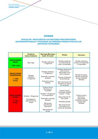 OVINOS 
NIVELES DE INFECCIÓN DE LAS PASTURAS POR NEMATODES 
GASTROINTESTINALES Y POTENCIAL DE PÉRDIDAS PRODUCTIVAS EN LAS 
DISTINTAS CATEGORÍAS 
Bajo riesgo 
Pérdidas 
subclínicas 
< 5 kg/animal 
Pérdidas >10 kg/animal 
Mortalidad por 
Haemonchosis en 
verano 
Pérdidas subclínicas 
de peso circunstanciales 
y recuperables 
Pérdidas de estado, 
diarreas, producción 
de lana y fertilidad 
afectadas 
Cuadros clínicos 
diarreicos o 
anemizantes, 
mortalidad, pérdidas 
de peso, baja 
fertilidad 
Pérdidas subclínicas 
< 5 kg/animal 
Pérdidas subclínicas 
< 10 kg/animal 
Desarrollo y músculos 
afectados 
Producción de lana 
afectada 
Cuadros clínicos 
diarreicos con 
mortalidad 
Pérdidas >10 kg/animal 
sin compensación 
Desarrollo y músculos 
afectados 
Alteraciones 
reproductivas 
importantes 
Baja producción 
de lana 
Pérdidas subclínicas 
circunstanciales de 
peso y recuperables 
Pérdidas subclínicas en 
otoño-invierno 
relacionadas con el 
parto y lactancia 
Diarreas, producción 
de lana afectada 
Alta contaminación de 
la pastura con huevos 
de nematodes 
Cuadros clínicos, 
mortandad, pérdidas 
de peso > 10 kg. 
Baja producción de 
lana y leche 
Fertilidad reducida 
Alta contaminación 
de la pastura con 
huevos de nematodes 
INFECCIONES 
BAJAS 
< 500 L3/kps 
INFECCIONES 
MODERADAS 
< 1500 
L3/kps 
INFECCIONES 
ALTAS 
> 1500 
L3/kps 
Corderos 
hasta el destete 
Borregos·Borregas 
hasta 18 meses 
Ovejas Carneros 
39 
Area de Parasitología 
Facultad de Ciencias Veterinarias 
UNCPBA TANDIL 
 