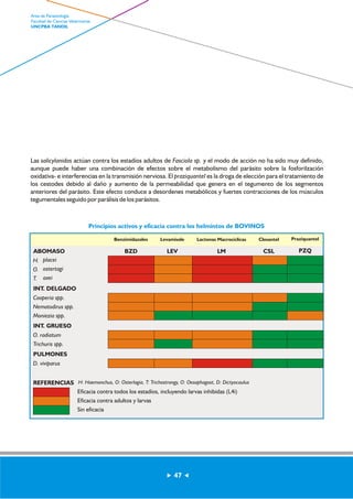 Las salicylanidas actúan contra los estadíos adultos de Fasciola sp. y el modo de acción no ha sido muy definido, 
aunque puede haber una combinación de efectos sobre el metabolismo del parásito sobre la fosforilzación 
oxidativa- e interferencias en la transmisión nerviosa. El praziquantel es la droga de elección para el tratamiento de 
los cestodes debido al daño y aumento de la permeabilidad que genera en el tegumento de los segmentos 
anteriores del parásito. Este efecto conduce a desordenes metabólicos y fuertes contracciones de los músculos 
tegumentales seguido por parálisis de los parásitos. 
Principios activos y eficacia contra los helmintos de BOVINOS 
Benzimidazoles 
INT. DELGADO 
Cooperia spp. 
Nematodirus spp. 
Moniezia spp. 
PULMONES 
D. viviparus 
REFERENCIAS 
H: Haemonchus, O: Osterlagia, T: Trichostrongy, O: Oesophagost, D: Dictyocaulus 
Eficacia contra todos los estadíos, incluyendo larvas inhibidas (L4i) 
Eficacia contra adultos y larvas 
Sin eficacia 
INT. GRUESO 
O. radiatum 
Trichuris spp. 
Levamisole Lactonas Macrocíclicas Closantel Praziquantel 
ABOMASO BZD 
H. 
placei 
O. 
ostertagi 
T. 
axei 
LEV LM CSL PZQ 
47 
Area de Parasitología 
Facultad de Ciencias Veterinarias 
UNCPBA TANDIL 
 