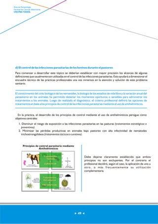d) El control de las infecciones parasitarias de los bovinos durante el pastoreo 
Para comenzar a desarrollar este tópico se deberían establecer con mayor precisión los alcances de algunas 
definiciones que usualmente son utilizadas en el control de las infecciones parasitarias. Esto ayudará a dimensionar el 
encuadre técnico de las prácticas profesionales una vez inmersos en la atención y solución de este problema 
sanitario. 
El conocimiento del ciclo biológico de los nematodes, la biología de los estadíos de vida libre y la variación anual del 
parasitismo en los animales ha permitido detectar los momentos oportunos o sensibles para administrar los 
tratamientos a los animales. Luego de realizado el diagnóstico, el criterio profesional definirá las opciones de 
tratamientos en base a los principios de control de las infecciones parasitarias mediante el uso de antihelmínticos. 
En la práctica, el desarrollo de los principios de control mediante el uso de antihelmínticos persigue como 
objetivos centrales: 
1. Disminuir el riesgo de exposición a las infecciones parasitarias en las pasturas (tratamientos estratégicos o 
........ 
........ 
preventivos). 
2. Minimizar las pérdidas productivas en animales bajo pastoreo con alta infectividad de nematodes 
trichostrongylideos (tratamientos tácticos o curativos). 
Debe dejarse claramente establecido que ambos 
principios no son excluyentes. Por el contrario el 
profesional decidirá, según el caso, la aplicación de uno u 
otro, o más frecuentemente su utilización 
complementaria. 
Principios de control parasitario mediante 
Antihelmínticos 
49 
Area de Parasitología 
Facultad de Ciencias Veterinarias 
UNCPBA TANDIL 
 