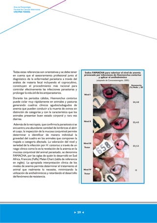 Todas estas referencias son orientativas y se debe tener 
en cuenta que el asesoramiento profesional junto al 
diagnóstico de la enfermedad parasitaria a través del 
análisis de materia fecal incluyendo el coprocultivo, 
constituyen el procedimiento más racional para 
controlar efectivamente las infecciones parasitarias y 
prolongar la vida útil de los antiparasitarios. 
Durante los períodos cálidos, Haemonchus contortus 
puede ciclar muy rápidamente en animales y pasturas 
generando cuadros clínicos agudos/subagudos de 
anemia que pueden conducir a la muerte de ovinos sin 
distinción de categorías y con la característica que los 
animales presentan buen estado corporal y rara vez 
diarrea. 
Además de la necropsia, que confirma la parasitosis si se 
encuentra una abundante cantidad de lombrices al abrir 
el cuajo, la inspección de la mucosa conjuntival permite 
determinar e identificar de manera individual la 
gravedad del cuadro en los animales que componen la 
majada o categoría afectada. La valoración del nivel y 
seriedad de la infección por H. contortus a través de un 
rasgo clínico como lo es la revelación de la anemia en la 
mucosa conjuntival del animal parasitado, se denomina 
FAMACHA, por las siglas de quién lo desarrolló en Sud 
Africa, Francois (Faffa) Malan Chart (tabla de referencia 
en inglés). La apropiada interpretación clínica de los 
niveles de anemia permite determinar el tratamiento al 
animal que realmente lo necesite, minimizando la 
utilización de antihelmínticos y retardando el desarrollo 
del fenómeno de resistencia. 
Índice FAMACHA para valorizar el nivel de anemia 
provocado por infecciones de Haemonchus contortus 
y aplicar el antihelmíntico 
(adaptado de Caracostantogolo, 2005) 
Nivel I 
Nivel II 
Nivel III 
Tratar 
Nivel IV 
Tratar 
Hematocrito 
(%) Media +- SD 
34 +- 4.0 
32 +- 4.5 
23 +- 3.3 
13 
59 
Area de Parasitología 
Facultad de Ciencias Veterinarias 
UNCPBA TANDIL 
 
