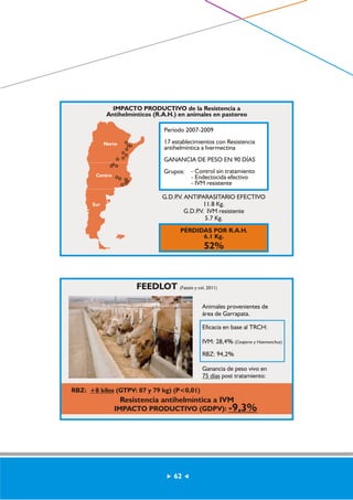 IMPACTO PRODUCTIVO de la Resistencia a 
Antihelmínticos (R.A.H.) en animales en pastoreo 
Período 2007-2009 
17 establecimientos con Resistencia 
antihelmíntica a Ivermectina 
GANANCIA DE PESO EN 90 DÍAS 
Grupos: - Control sin tratamiento 
- Endectocida efectivo 
- IVM resistente 
G.D.P.V. ANTIPARASITARIO EFECTIVO 
11.8 Kg. 
G.D.P.V. IVM resistente 
5.7 Kg. 
PÉRDIDAS POR R.A.H. 
6.1 Kg. 
52% 
Norte 
Centro 
Sur 
FEEDLOT (Fazzio y col, 2011) 
RBZ: +8 kilos (GTPV: 87 y 79 kg) (P<0,01) 
Animales provenientes de 
área de Garrapata. 
Eficacia en base al TRCH: 
IVM: 28,4% (Cooperia y Haemonchus) 
RBZ: 94,2% 
Ganancia de peso vivo en 
75 días post tratamiento: 
Resistencia antihelmíntica a IVM 
IMPACTO PRODUCTIVO (GDPV): -9,3% 
62 
 
