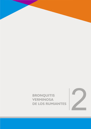 BRONQUITIS 
VERMINOSA 
DE LOS RUMIANTES2 
 