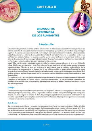 CAPÍTULO II 
BRONQUITIS 
VERMINOSA 
DE LOS RUMIANTES 
Introducción 
Esta enfermedad parasitaria se conoce también con el nombre de dictiocaulosis y afecta a los bovinos y ovinos en los 
sistemas pastoriles de producción. La intensificación del manejo trajo aparejado el aumento de la carga animal por 
superficie de pastoreo y consecuentemente la ocurrencia y/o recrudecimiento de enfermedades. Esta parasitosis se 
asocia frecuentemente a sistemas de producción de leche donde la cría de los terneros se realiza bajo condiciones 
artificiales con sustitutos lácteos y en parcelas pequeñas que favorecen la infección de los animales. También en los 
sistemas de producción de carne en el período post destete durante el pastoreo en el otoño e invierno coincidiendo 
con los riesgos y condiciones descriptos para la gastroenteritis verminosa. 
Las pérdidas económicas provocadas por esta enfermedad en los sistemas de producción de carne son difíciles de 
valorar debido a que su tratamiento y control coinciden con los que usualmente se implementan para los nematodes 
gastrointestinales. Además, se suma un fenómeno de alto impacto para la evolución epidemiológica de la 
enfermedad en las pasturas, como es el desarrollo de una sólida inmunidad en los animales afectados a las pocas 
semanas de la primo infección lo que limita seria y acotadamente la contaminación de las pasturas con larvas. Si el 
parásito comparte la población parasitaria con los nematodes trichostrongylideos su diagnóstico usualmente pasa 
desapercibido. 
En cambio, en la cría y recría de los terneros de tambo la enfermedad se hace mucho más evidente ya que el cuidado 
y vigilancia de los animales se realizan a diario, facilitando el diagnóstico y el correspondiente tratamiento. Sin 
embargo, en estas condiciones, la dictiocaulosis puede extenderse a lo largo del año y ser recurrente entre ciclos de 
recría en las guacheras. 
Etiología 
Los nematodes que producen la bronquitis verminosa son del género Dictyocaulus y las especies son diferentes para 
el bovino (D. viviparus) y el ovino (D. filaria). Los parásitos adultos se localizan principalmente en grandes bronquios y 
tráquea, son finos y logran un tamaño de 8 cm. La patología que producen se asocia con la obstrucción de los 
pequeños y grandes bronquios complicando seriamente en muchos casos el tejido pulmonar por neumonía asociada 
a infecciones bacterianas concomitantes. 
Ciclo de vida 
Las hembras son ovo-vivíparas y producen huevos que contienen larvas completamente desarrolladas (L1). Los 
huevos pueden ascender por la tráquea para ser deglutidos o pueden en ese trayecto eclosionar y dejar la L1 libre 
que también asciende para ser deglutida. Las L1 que llegan contenidas en el huevo son liberadas en el tracto digestivo 
y junto a las otras, son excretadas en la materia fecal al ambiente. Las larvas L1 en la materia fecal fresca son muy 
características y las distingue las células intestinales que presentan un fino granulado marrón oscuro compuesto por 
79 
 