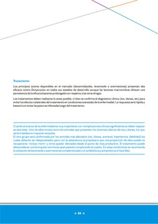 Tratamiento 
Los principios activos disponibles en el mercado (benzimidazoles, levamisole o avermectinas) presentan alta 
eficacia contra Dictyocaulus en todos sus estadíos de desarrollo aunque las lactonas macrociclicas ofrecen una 
persistencia de la eficacia bastante prolongada con respecto a las otras drogas. 
Los tratamientos deben realizarse lo antes posible, ni bien se confirma el diagnóstico clínico (tos, disnea, etc) para 
evitar los efectos colaterales del tratamiento en condiciones avanzadas de la enfermedad. La respuesta será rápida y 
bastará con evitar las pasturas infectadas luego del tratamiento. 
Cuando el avance de la enfermedad es muy importante con complicaciones clínicas significativas se deben separar 
en dos lotes. Uno de ellos involucrará a los animales que presenten los síntomas clásicos de tos y disnea, los que 
serán tratados sin mayores recaudos. 
El otro grupo será conformado por los animales más afectados (tos, disnea, anorexia, hipertermia, debilidad) los 
cuales deberán ser desparasitados pero con la advertencia al propietario que una proporción de ellos puede no 
recuperarse -incluso morir- y otros quedar afectados desde el punto de vista productivo. El tratamiento puede 
desencadenar una bronquitis verminosa post patente complicando el cuadro. En estas condiciones se recomienda 
la utilización de levamisole o avermectinas complementado con antibióticos y antipiréticos si hace falta. 
84 
 
