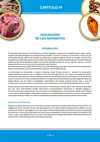 CAPÍTULO IV 
FASCIOLOSIS 
DE LOS RUMIANTES 
Introducción 
El trematode denominado Fasciola hepatica o también Saguaypé, voz guaraní que significa gusano chato o plano; 
también "palomilla del hígado" en zonas de la Pampa Húmeda, "Corrocho" en San Juan, "Chonchaco" en San Luis y en 
el Noroeste del país; afecta a los animales que pastorean en algunas regiones, donde se conjugan características 
topográficas y ambientales que favorecen el desarrollo del parásito y la infección de las pasturas. La enfermedad que 
produce se denomina fasciolosis y afecta a los animales domésticos (bovinos, ovinos, caprinos, equinos y cerdos), 
salvajes (herbívoros y omnívoros) y circunstancialmente al hombre. 
Se ha estimado que más de 300 millones de bovinos y 250 millones de ovinos del mundo pastorean en áreas donde F. 
hepatica está presente, produciendo pérdidas anuales por más de U$S 3 billones. 
La enfermedad fue introducida a nuestro continente desde Europa durante el período de colonización, 
registrándosela por primera vez en Argentina hacia fines del siglo IXX en una masiva mortandad de lanares. 
Actualmente, se la detecta en distintos ambientes desde el norte de Salta hasta el sur de Chubut y a lo ancho de todo 
el país. En los últimos 2-3 años, la fasciolosis adquirió una importancia extraordinaria en amplias regiones, debido a la 
amplia difusión que ha tenido el hospedador intermediario del parásito (caracol Limnaea spp) a causa de 
inundaciones recurrentes y de las interconexiones entre las distintas cuencas hídricas establecidas en el territorio. 
Esta parasitosis produce pérdidas económicas directas e indirectas pero también, genera las condiciones adecuadas 
para que otras enfermedades puedan desarrollarse comprometiendo seriamente la viabilidad biológica y 
económica del sistema de producción. Se suma a esto, la complejidad de su control eficiente, debido a los limitados 
conocimientos epidemiológicos disponibles en el país y a la complejidad de su tratamiento, ya que la mayoría de los 
antiparasitarios que se utilizan, no cubren la totalidad de los estadíos de desarrollo del parásito en los animales. 
El parásito y su ciclo de vida 
El agente causal de la fasciolosis es un trematode con aspecto de hoja, lanceolado y aplanado que mide 25-30 mm de 
longitud por 10 mm de ancho. Es de color gris-parduzco y en la parte anterior presenta el cono cefálico con una 
ventosa oral. Posee un tubo digestivo con numerosas ramificaciones laterales y los testículos y ovarios contenidos 
en la estructura corporal (hermafrodita); los huevos que son expulsados a través del poro genital, son grandes (150 
x 90 μ), ovales, operculados y de color ocre claro. Esta descripción corresponde al estadío adulto del parásito que se 
localiza en los canalículos biliares de los animales que parasita. 
91 
 