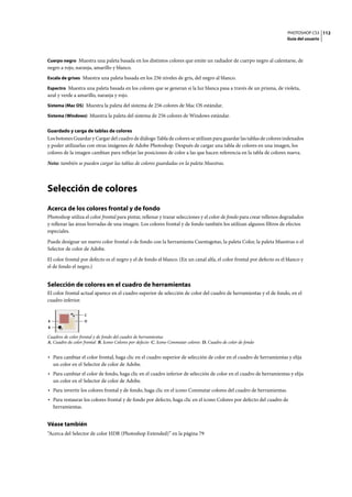 PHOTOSHOP CS3
Guía del usuario
112
Cuerpo negro Muestra una paleta basada en los distintos colores que emite un radiador de cuerpo negro al calentarse, de
negro a rojo, naranja, amarillo y blanco.
Escala de grises Muestra una paleta basada en los 256 niveles de gris, del negro al blanco.
Espectro Muestra una paleta basada en los colores que se generan si la luz blanca pasa a través de un prisma, de violeta,
azul y verde a amarillo, naranja y rojo.
Sistema (Mac OS) Muestra la paleta del sistema de 256 colores de Mac OS estándar.
Sistema (Windows) Muestra la paleta del sistema de 256 colores de Windows estándar.
Guardado y carga de tablas de colores
Los botones Guardar y Cargar del cuadro de diálogo Tabla de colores se utilizan para guardar las tablas de colores indexados
y poder utilizarlas con otras imágenes de Adobe Photoshop. Después de cargar una tabla de colores en una imagen, los
colores de la imagen cambian para reflejar las posiciones de color a las que hacen referencia en la tabla de colores nueva.
Nota: también se pueden cargar las tablas de colores guardadas en la paleta Muestras.
Selección de colores
Acerca de los colores frontal y de fondo
Photoshop utiliza el color frontal para pintar, rellenar y trazar selecciones y el color de fondo para crear rellenos degradados
y rellenar las áreas borradas de una imagen. Los colores frontal y de fondo también los utilizan algunos filtros de efectos
especiales.
Puede designar un nuevo color frontal o de fondo con la herramienta Cuentagotas, la paleta Color, la paleta Muestras o el
Selector de color de Adobe.
El color frontal por defecto es el negro y el de fondo el blanco. (En un canal alfa, el color frontal por defecto es el blanco y
el de fondo el negro.)
Selección de colores en el cuadro de herramientas
El color frontal actual aparece en el cuadro superior de selección de color del cuadro de herramientas y el de fondo, en el
cuadro inferior.
Cuadros de color frontal y de fondo del cuadro de herramientas
A. Cuadro de color frontal B. Icono Colores por defecto C. Icono Conmutar colores D. Cuadro de color de fondo
• Para cambiar el color frontal, haga clic en el cuadro superior de selección de color en el cuadro de herramientas y elija
un color en el Selector de color de Adobe.
• Para cambiar el color de fondo, haga clic en el cuadro inferior de selección de color en el cuadro de herramientas y elija
un color en el Selector de color de Adobe.
• Para invertir los colores frontal y de fondo, haga clic en el icono Conmutar colores del cuadro de herramientas.
• Para restaurar los colores frontal y de fondo por defecto, haga clic en el icono Colores por defecto del cuadro de
herramientas.
Véase también
“Acerca del Selector de color HDR (Photoshop Extended)” en la página 79
A
B
C
D
 