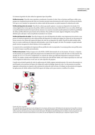 PHOTOSHOP CS3
Guía del usuario
133
Un sistema de gestión de color utiliza los siguientes tipos de perfiles:
Perfiles de monitor Describa cómo reproduce actualmente el monitor el color. Este es el primer perfil que se debe crear,
porque una visualización precisa del color en el monitor permite tomar decisiones de color críticas en el proceso de diseño.
Si lo que ve en el monitor no representa los colores reales del documento, no podrá mantener la coherencia de color.
Perfiles del dispositivo de entrada Describa los colores que puede capturar o escanear un dispositivo de entrada. Si la
cámara digital ofrece varias opciones de perfiles, Adobe recomienda seleccionar Adobe RGB. Si no es así, utilice sRGB (que
es el perfil predeterminado de la mayoría de las cámaras). Los usuarios avanzados pueden plantearse también la posibilidad
de utilizar perfiles diferentes para fuentes de luz distintas. Para perfiles de escáner, algunos fotógrafos crean perfiles
distintos para cada tipo o marca de película escaneada en un escáner.
Perfiles del dispositivo de salida Describa el espacio de color del dispositivo de salida, como impresoras de escritorio o una
prensa. El sistema de gestión de color utiliza perfiles del dispositivo de salida para asignar los colores de un documento de
forma correcta a los colores de la gama del espacio de color de un dispositivo de salida. El perfil de salida también debe
tener en cuenta condiciones de impresión determinadas, como el tipo de papel y de tinta. Por ejemplo, un papel satinado
puede mostrar una gama de colores distinta a la de un papel mate.
La mayoría de los controladores de impresora llevan perfiles de color incorporados. Se aconseja probar estos perfiles antes
de invertir tiempo en perfiles personalizados.
Perfiles de documento Defina el espacio de color RGB o CMYK determinados de un documento. Al asociar, o etiquetar,
un documento con un perfil, la aplicación proporciona una definición de los aspectos reales del color en el documento. Por
ejemplo, R=127, G=12, B=107 es simplemente un conjunto de valores que diferentes dispositivos mostrarán de forma
distinta. En cambio, cuando están etiquetados con el espacio de color RGB de Adobe, estos valores especifican un color real
o una longitud de onda de luz; en este caso, un color específico de púrpura.
Cuando está activada la gestión de color, las aplicaciones de Adobe asignan automáticamente a los nuevos documentos un
perfil basado en las opciones de Espacio de trabajo del cuadro de diálogo Ajustes de color. Los documentos sin perfiles
asignados se denominan sin etiqueta y sólo contienen los valores de color en bruto. Al trabajar con documentos sin etiqueta,
las aplicaciones de Adobe utilizan el perfil del espacio de trabajo activo para mostrar y modificar los colores.
Gestión del color con perfiles
A. Los perfiles describen los espacios de color del dispositivo de entrada y del documento. B. Mediante las descripciones de los perfiles, el sistema
de gestión de color identifica los colores reales del documento. C. El perfil del monitor indica al sistema de gestión de color cómo convertir los
valores numéricos del documento en el espacio de color del monitor. D. Mediante el perfil del dispositivo de salida, el sistema de gestión de color
convierte los valores numéricos del documento en los valores de color del dispositivo de salida para que se imprima el aspecto correcto.
A
B
C
D
 