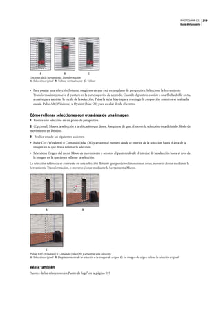 PHOTOSHOP CS3
Guía del usuario
219
Opciones de la herramienta Transformación
A. Selección original B. Voltear verticalmente C. Voltear
• Para escalar una selección flotante, asegúrese de que está en un plano de perspectiva. Seleccione la herramienta
Transformación y mueva el puntero en la parte superior de un nodo. Cuando el puntero cambie a una flecha doble recta,
arrastre para cambiar la escala de la selección. Pulse la tecla Mayús para restringir la proporción mientras se realiza la
escala. Pulse Alt (Windows) u Opción (Mac OS) para escalar desde el centro.
Cómo rellenar selecciones con otra área de una imagen
1 Realice una selección en un plano de perspectiva.
2 (Opcional) Mueva la selección a la ubicación que desee. Asegúrese de que, al mover la selección, esta definido Modo de
movimiento en Destino.
3 Realice una de las siguientes acciones:
• Pulse Ctrl (Windows) o Comando (Mac OS) y arrastre el puntero desde el interior de la selección hasta el área de la
imagen en la que desea rellenar la selección.
• Seleccione Origen del menú Modo de movimiento y arrastre el puntero desde el interior de la selección hasta el área de
la imagen en la que desea rellenar la selección.
La selección rellenada se convierte en una selección flotante que puede redimensionar, rotar, mover o clonar mediante la
herramienta Transformación, o mover o clonar mediante la herramienta Marco.
Pulsar Ctrl (Windows) o Comando (Mac OS) y arrastrar una selección
A. Selección original B. Desplazamiento de la selección a la imagen de origen C. La imagen de origen rellena la selección original
Véase también
“Acerca de las selecciones en Punto de fuga” en la página 217
A B C
A
C
B
 