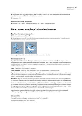 PHOTOSHOP CS3
Guía del usuario
242
2 Introduzca un valor en el cuadro Anchura para especificar el área en la que desea buscar píxeles de sustitución. En la
mayoría de los casos, una distancia de 1 o 2 píxeles es suficiente.
3 Haga clic en OK.
Eliminación de un halo de una selección
❖ Seleccione Capa > Halos > Eliminar halo negro o Capa > Halos > Eliminar halo blanco.
Cómo mover y copiar píxeles seleccionados
Desplazamiento de una selección
1 Seleccione la herramienta Mover .
2 Mueva el puntero dentro del borde de selección y arrastre la selección hasta una nueva ubicación. Si ha seleccionado
varias áreas, todas se mueven conforme se arrastra.
Selección original (izquierda) y tras mover la selección con la herramienta Mover (derecha)
Copia de selecciones
Es posible utilizar la herramienta Mover para copiar selecciones conforme las arrastra dentro de una imagen o entre
imágenes, o bien puede copiar y mover selecciones con los comandos Copiar, Copiar combinado, Cortar y Pegar. Arrastrar
con la herramienta Mover ahorra memoria, ya que el Portapapeles no se utiliza como con los comandos Copiar, Copiar
combinado, Cortar y Pegar.
Copiar Copia el área seleccionada en la capa activa.
Copiar combinado Realiza una copia combinada de todas las capas visibles en el área seleccionada.
Pegar Pega una selección cortada o copiada en otra parte de la imagen o en otra imagen como una capa nueva. Si tiene una
selección, el comando Pegar coloca la selección copiada sobre la selección actual. Sin una selección activa, el comando Pegar
coloca la selección copiada en medio del área de visualización.
Pegar dentro Pega una selección cortada o copiada dentro de otra selección en la misma imagen o en una imagen diferente.
La selección de origen se pega en una capa nueva y el borde de la selección de destino se convierte en una máscara de capa.
Cuando una selección o capa se pega entre imágenes de diferentes resoluciones, los datos pegados retienen sus dimensiones
en píxeles. Esto puede hacer que la parte pegada parezca desproporcionada en la nueva imagen. Utilice el comando Tamaño
de imagen para hacer que las imágenes de origen y de destino tengan la misma resolución antes de copiar y pegar o utilice
el comando Transformación libre para redimensionar el tamaño del contenido pegado.
Según los ajustes de gestión de color y el perfil de color asociado al archivo (o datos importados), el programa puede
solicitar que especifique cómo gestionar la información de color en el archivo (o datos importados).
Véase también
“Acerca de las máscaras de capa y las máscaras vectoriales” en la página 297
“Configurar la gestión de color” en la página 125
 