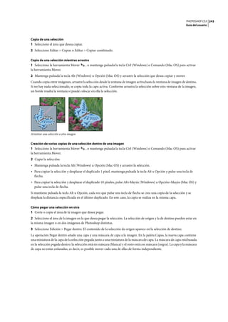 PHOTOSHOP CS3
Guía del usuario
243
Copia de una selección
1 Seleccione el área que desea copiar.
2 Seleccione Editar > Copiar o Editar > Copiar combinado.
Copia de una selección mientras arrastra
1 Seleccione la herramienta Mover , o mantenga pulsada la tecla Ctrl (Windows) o Comando (Mac OS) para activar
la herramienta Mover.
2 Mantenga pulsada la tecla Alt (Windows) u Opción (Mac OS) y arrastre la selección que desea copiar y mover.
Cuando copia entre imágenes, arrastre la selección desde la ventana de imagen activa hasta la ventana de imagen de destino.
Si no hay nada seleccionado, se copia toda la capa activa. Conforme arrastra la selección sobre otra ventana de la imagen,
un borde resalta la ventana si puede colocar en ella la selección.
Arrastrar una selección a otra imagen
Creación de varias copias de una selección dentro de una imagen
1 Seleccione la herramienta Mover , o mantenga pulsada la tecla Ctrl (Windows) o Comando (Mac OS) para activar
la herramienta Mover.
2 Copie la selección:
• Mantenga pulsada la tecla Alt (Windows) u Opción (Mac OS) y arrastre la selección.
• Para copiar la selección y desplazar el duplicado 1 píxel, mantenga pulsada la tecla Alt u Opción y pulse una tecla de
flecha.
• Para copiar la selección y desplazar el duplicado 10 píxeles, pulse Alt+Mayús (Windows) u Opción+Mayús (Mac OS) y
pulse una tecla de flecha.
Si mantiene pulsada la tecla Alt u Opción, cada vez que pulse una tecla de flecha se crea una copia de la selección y se
desplaza la distancia especificada en el último duplicado. En este caso, la copia se realiza en la misma capa.
Cómo pegar una selección en otra
1 Corte o copie el área de la imagen que desea pegar.
2 Seleccione el área de la imagen en la que desea pegar la selección. La selección de origen y la de destino pueden estar en
la misma imagen o en dos imágenes de Photoshop distintas.
3 Seleccione Edición > Pegar dentro. El contenido de la selección de origen aparece en la selección de destino.
La operación Pegar dentro añade una capa y una máscara de capa a la imagen. En la paleta Capas, la nueva capa contiene
una miniatura de la capa de la selección pegada junto a una miniatura de la máscara de capa. La máscara de capa está basada
en la selección pegada dentro: la selección está sin máscara (blanca) y el resto está con máscara (negra). La capa y la máscara
de capa no están enlazadas, es decir, es posible mover cada una de ellas de forma independiente.
 