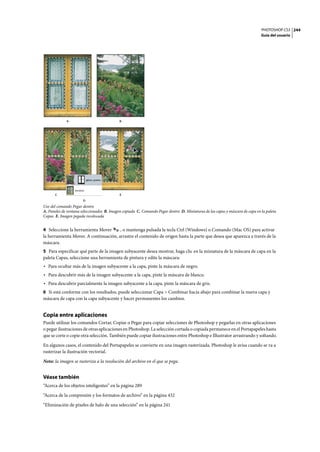 PHOTOSHOP CS3
Guía del usuario
244
Uso del comando Pegar dentro
A. Paneles de ventana seleccionados B. Imagen copiada C. Comando Pegar dentro D. Miniaturas de las capas y máscara de capa en la paleta
Capas E. Imagen pegada recolocada
4 Seleccione la herramienta Mover , o mantenga pulsada la tecla Ctrl (Windows) o Comando (Mac OS) para activar
la herramienta Mover. A continuación, arrastre el contenido de origen hasta la parte que desea que aparezca a través de la
máscara.
5 Para especificar qué parte de la imagen subyacente desea mostrar, haga clic en la miniatura de la máscara de capa en la
paleta Capas, seleccione una herramienta de pintura y edite la máscara:
• Para ocultar más de la imagen subyacente a la capa, pinte la máscara de negro.
• Para descubrir más de la imagen subyacente a la capa, pinte la máscara de blanco.
• Para descubrir parcialmente la imagen subyacente a la capa, pinte la máscara de gris.
6 Si está conforme con los resultados, puede seleccionar Capa > Combinar hacia abajo para combinar la nueva capa y
máscara de capa con la capa subyacente y hacer permanentes los cambios.
Copia entre aplicaciones
Puede utilizar los comandos Cortar, Copiar o Pegar para copiar selecciones de Photoshop y pegarlas en otras aplicaciones
o pegar ilustraciones de otras aplicaciones en Photoshop. La selección cortada o copiada permanece en el Portapapeles hasta
que se corte o copie otra selección. También puede copiar ilustraciones entre Photoshop e Illustrator arrastrando y soltando.
En algunos casos, el contenido del Portapapeles se convierte en una imagen rasterizada. Photoshop le avisa cuando se va a
rasterizar la ilustración vectorial.
Nota: la imagen se rasteriza a la resolución del archivo en el que se pega.
Véase también
“Acerca de los objetos inteligentes” en la página 289
“Acerca de la compresión y los formatos de archivo” en la página 432
“Eliminación de píxeles de halo de una selección” en la página 241
A B
C E
D
 