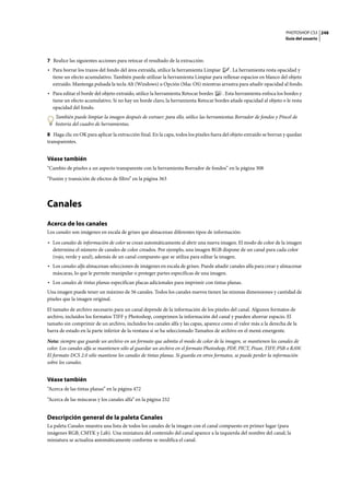 PHOTOSHOP CS3
Guía del usuario
248
7 Realice las siguientes acciones para retocar el resultado de la extracción:
• Para borrar los trazos del fondo del área extraída, utilice la herramienta Limpiar . La herramienta resta opacidad y
tiene un efecto acumulativo. También puede utilizar la herramienta Limpiar para rellenar espacios en blanco del objeto
extraído. Mantenga pulsada la tecla Alt (Windows) u Opción (Mac OS) mientras arrastra para añadir opacidad al fondo.
• Para editar el borde del objeto extraído, utilice la herramienta Retocar bordes . Esta herramienta enfoca los bordes y
tiene un efecto acumulativo. Si no hay un borde claro, la herramienta Retocar bordes añade opacidad al objeto o le resta
opacidad del fondo.
También puede limpiar la imagen después de extraer; para ello, utilice las herramientas Borrador de fondos y Pincel de
historia del cuadro de herramientas.
8 Haga clic en OK para aplicar la extracción final. En la capa, todos los píxeles fuera del objeto extraído se borran y quedan
transparentes.
Véase también
“Cambio de píxeles a un aspecto transparente con la herramienta Borrador de fondos” en la página 308
“Fusión y transición de efectos de filtro” en la página 363
Canales
Acerca de los canales
Los canales son imágenes en escala de grises que almacenan diferentes tipos de información:
• Los canales de información de color se crean automáticamente al abrir una nueva imagen. El modo de color de la imagen
determina el número de canales de color creados. Por ejemplo, una imagen RGB dispone de un canal para cada color
(rojo, verde y azul), además de un canal compuesto que se utiliza para editar la imagen.
• Los canales alfa almacenan selecciones de imágenes en escala de grises. Puede añadir canales alfa para crear y almacenar
máscaras, lo que le permite manipular o proteger partes específicas de una imagen.
• Los canales de tintas planas especifican placas adicionales para imprimir con tintas planas.
Una imagen puede tener un máximo de 56 canales. Todos los canales nuevos tienen las mismas dimensiones y cantidad de
píxeles que la imagen original.
El tamaño de archivo necesario para un canal depende de la información de los píxeles del canal. Algunos formatos de
archivo, incluidos los formatos TIFF y Photoshop, comprimen la información del canal y pueden ahorrar espacio. El
tamaño sin comprimir de un archivo, incluidos los canales alfa y las capas, aparece como el valor más a la derecha de la
barra de estado en la parte inferior de la ventana si se ha seleccionado Tamaños de archivo en el menú emergente.
Nota: siempre que guarde un archivo en un formato que admita el modo de color de la imagen, se mantienen los canales de
color. Los canales alfa se mantienen sólo al guardar un archivo en el formato Photoshop, PDF, PICT, Pixar, TIFF, PSB o RAW.
El formato DCS 2.0 sólo mantiene los canales de tintas planas. Si guarda en otros formatos, se puede perder la información
sobre los canales.
Véase también
“Acerca de las tintas planas” en la página 472
“Acerca de las máscaras y los canales alfa” en la página 252
Descripción general de la paleta Canales
La paleta Canales muestra una lista de todos los canales de la imagen con el canal compuesto en primer lugar (para
imágenes RGB, CMYK y Lab). Una miniatura del contenido del canal aparece a la izquierda del nombre del canal; la
miniatura se actualiza automáticamente conforme se modifica el canal.
 