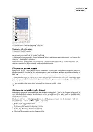 PHOTOSHOP CS3
Guía del usuario
249
Tipos de canales
A. Canales de color B. Canales de tinta plana C. Canales alfa
Visualización de la paleta Canales
❖ Seleccione Ventana > Canales.
Cómo redimensionar u ocultar las miniaturas de canal
❖ Seleccione Opciones de paleta en el menú de la paleta Canales. Haga clic en un tamaño de miniatura o en Ninguno para
desactivar la visualización de miniaturas.
Usar las miniaturas es la forma más cómoda de realizar el seguimiento del contenido de los canales; sin embargo, si se
desactiva la visualización de las miniaturas puede mejorar el rendimiento.
Cómo mostrar u ocultar un canal
Puede utilizar la paleta Canales para ver cualquier combinación de canales en la ventana del documento. Por ejemplo, se
pueden ver juntos un canal alfa y el canal compuesto para ver cómo afectan a toda la imagen los cambios realizados en el
canal alfa.
❖ Haga clic en la columna que muestra un ojo junto a cada canal para mostrar u ocultar dicho canal. (Haga clic en el canal
compuesto para ver todos los canales de color por defecto. El canal compuesto se muestra siempre que están visibles todos
los canales de color.)
Para mostrar u ocultar varios canales, arrastre por esta columna de la paleta Canales.
Cómo mostrar en color los canales de color
Los canales individuales se muestran en escala de grises. En las imágenes RGB, CMYK o Lab se pueden ver los canales de
color individuales. En las imágenes Lab sólo aparecen en color los canales a y b. Si hay activo más de un canal, los canales
siempre aparecen en color.
Puede cambiar el valor por defecto para que los canales individuales se muestren en color. Si un canal está visible en la
imagen, aparece un icono de ojo en la paleta, a su izquierda.
1 Realice una de las siguientes acciones:
• En Windows, elija Edición > Preferencias > Interfaz.
• En Mac, elija Photoshop > Preferencias > Interfaz.
2 Seleccione Mostrar canales en color y haga clic en OK.
A
B
C
 