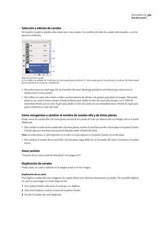 PHOTOSHOP CS3
Guía del usuario
250
Selección y edición de canales
En la paleta Canales se pueden seleccionar uno o más canales. Los nombres de todos los canales seleccionados, o activos,
aparecen resaltados.
Selección de varios canales
A. No visible o no editable B. Visible pero no seleccionado para la edición C. Seleccionado para la visualización y la edición D. Seleccionado
para la edición pero no para la visualización
• Para seleccionar un canal, haga clic en el nombre del canal. Mantenga pulsada la tecla Mayús para seleccionar (o
deseleccionar) varios canales.
• Para editar un canal, selecciónelo y utilice una herramienta de edición o de pintura para pintar la imagen. Sólo puede
pintar en un canal al mismo tiempo. Píntela de blanco para añadir el color del canal seleccionado con el 100% de
intensidad. Píntela con un valor de gris para añadir el color del canal con una intensidad menor. Píntela de negro para
quitar totalmente el color del canal.
Cómo reorganizar o cambiar el nombre de canales alfa y de tintas planas
Puede mover los canales alfa o de tintas planas encima de los canales de color por defecto sólo si la imagen está en el modo
Multicanal.
• Para cambiar el orden de los canales alfa o de tintas planas, arrastre el canal hacia arriba o hacia abajo en la paleta Canales.
Cuando aparezca una línea en la posición deseada, suelte el botón del ratón.
Nota: las tintas planas se sobreimprimen en el orden en el que aparecen en la paleta Canales, de arriba abajo.
• Para cambiar el nombre de un canal alfa o de tinta plana, haga doble clic en el nombre del canal e introduzca el nombre
nuevo.
Véase también
“Creación de un nuevo canal de tinta plana” en la página 473
Duplicación de canales
Puede copiar un canal y utilizarlo en la imagen actual o en otra imagen.
Duplicación de un canal
Para duplicar canales alfa entre imágenes, los canales deben tener idénticas dimensiones en píxeles. No es posible duplicar
un canal en una imagen en modo Mapa de bits.
1 En la paleta Canales, seleccione el canal que va a duplicar.
2 Seleccione Duplicar canal en el menú de la paleta Canales.
3 Escriba el nombre del canal duplicado.
B
A
C
D
 