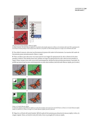 PHOTOSHOP CS3
Guía del usuario
254
Selección en los modos Estándar y Máscara rápida
A. Modo Estándar B. Modo Máscara rápida C. Los píxeles seleccionados aparecen en blanco en la miniatura del canal D. La superposición
de la hoja de acetato protege el área de fuera de la selección y los píxeles no seleccionados aparecen en negro en la miniatura del canal
3 Para editar la máscara, seleccione una herramienta de pintura del cuadro de herramientas. Las muestras del cuadro de
herramientas pasan automáticamente a blanco y negro.
4 Pinte con blanco para seleccionar una mayor parte de una imagen (la superposición de color se elimina de las áreas
pintadas en blanco). Para deseleccionar áreas, píntelas con negro (la superposición de color cubre las áreas pintadas en
negro). Pintar con gris u otro color crea un área semitransparente, útil para los efectos de desvanecimiento o suavizado. (Es
posible que parezca que las áreas semitransparentes no están seleccionadas al salir del modo Máscara rápida, pero lo están.)
Pintar en el modo Máscara rápida
A. Selección original y modo Máscara rápida con verde seleccionados como máscara de color B. Pintar con blanco en el modo Máscara rápida
añade a la selección C. Pintar con negro en el modo Máscara rápida resta de la selección
5 Haga clic en el botón del modo Estándar del cuadro de herramientas para desactivar la máscara rápida y volver a la
imagen original. Ahora, un borde de selección rodea el área no protegida de la máscara rápida.
A
C
D
B
A
B
C
 