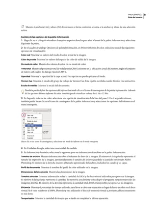 PHOTOSHOP CS3
Guía del usuario
37
Muestra la anchura (An) y altura (Al) de un marco o forma conforme arrastra, o la anchura y altura de una selección
activa.
Cambio de las opciones de la paleta Información
1 Haga clic en el triángulo situado en la esquina superior derecha para abrir el menú de la paleta Información y seleccione
Opciones de paleta.
2 En el cuadro de diálogo Opciones de paleta Información, en Primer informe de color, seleccione una de las siguientes
opciones de visualización:
Color real Muestra los valores del modo de color actual de la imagen.
Color de prueba Muestra los valores del espacio de color de salida de la imagen.
Un modo de color Muestra los valores de color en ese modo de color.
Tinta total Muestra el porcentaje total de toda la tinta CMYK existente en la ubicación actual del puntero, según el conjunto
de valores del cuadro de diálogo Ajustes CMYK.
Opacidad Muestra la opacidad de la capa actual. Esta opción no puede aplicarse al fondo.
Version Cue Muestra el estado del grupo de trabajo de Version Cue. Esta opción es válida cuando Version Cue está activo.
Escala de medida Muestra la escala del documento.
También puede definir las opciones del informe haciendo clic en el icono de cuentagotas de la paleta Información. Además
de las opciones Primer informe de color, también puede visualizar valores de 8, 16 o 32 bits.
3 En Segundo informe de color, seleccione una opción de visualización de la lista del paso 2. En el segundo informe,
también puede hacer clic en el icono de cuentagotas de la paleta Información y seleccionar las opciones del informe en el
menú emergente.
Hacer clic en un icono de cuentagotas y seleccionar un modo de informe en el menú emergente
4 En Unidades de regla, seleccione una unidad de medida.
5 En Información de estado, seleccione lo siguiente para ver información de archivo en la paleta Información:
Tamaños de archivo Muestra información sobre el volumen de datos de la imagen. El número de la izquierda representa el
tamaño de impresión de la imagen, aproximadamente el tamaño del archivo guardado y acoplado en formato Adobe
Photoshop. El número de la derecha muestra el tamaño aproximado del archivo, incluidos los canales y las capas.
Perfil de documento Muestra el nombre del perfil de color utilizado en la imagen.
Dimensiones del documento Muestra las dimensiones de la imagen.
Tamaños virtuales Muestra información sobre la cantidad de RAM y de disco virtual utilizados para procesar la imagen.
El número de la izquierda representa la cantidad de memoria actualmente utilizada por el programa para mostrar todas las
imágenes abiertas. El número de la derecha representa la cantidad total de RAM disponible para procesar las imágenes.
Eficiencia Muestra el porcentaje de tiempo utilizado para llevar a cabo una operación en lugar de leer o escribir en el disco
virtual. Si el valor es inferior al 100%, Photoshop está utilizando el disco de memoria virtual y, por tanto, el funcionamiento
es más lento.
Temporizador Muestra la cantidad de tiempo que se tardó en completar la última operación.
 
