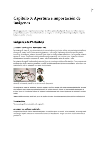 55
Capítulo 3: Apertura e importación de
imágenes
Photoshop puede abrir e importar numerosos tipos de archivos gráficos. Para lograr la eficacia en el trabajo, es preciso
comprender los conceptos básicos relacionados con las imágenes así como los procedimientos para adquirir e importar
imágenes y cambiar su tamaño.
Imágenes de Photoshop
Acerca de las imágenes de mapa de bits
Las imágenes de mapas de bits, denominadas técnicamente imágenes rasterizadas, utilizan una cuadrícula rectangular de
elementos de imagen (píxeles) para representar imágenes. A cada píxel se le asigna una ubicación y un valor de color
específicos. Al trabajar con imágenes de mapa de bits, se editan los píxeles, en lugar de los objetos o las formas. Las imágenes
de mapa de bits son el medio electrónico más usado para las imágenes de tono continuo, como fotografías o pinturas
digitales, puesto que pueden representar de manera más eficaz degradados sutiles de sombras y color.
Las imágenes de mapa de bits dependen de la resolución, es decir, contienen un número fijo de píxeles. Como consecuencia,
pueden perder detalle y aparecer dentadas si se cambia la escala a grandes ampliaciones en pantalla o si se imprimen con
una resolución inferior que aquélla para la que fueron creadas.
Ejemplo de una imagen de mapa de bits con diferentes niveles de ampliación
Las imágenes de mapas de bits a veces requieren grandes cantidades de espacio de almacenamiento y a menudo se tienen
que comprimir para conservar pequeños los tamaños de archivo cuando se utilizan en determinados componentes de
Creative Suite. Por ejemplo, los archivos de imagen se comprimen en su aplicación original antes de su importación a un
diseño.
Nota: en Adobe Illustrator, puede crear efectos de mapa de bits en su ilustración empleando filtros, efectos y estilos gráficos.
Véase también
“Acerca de los gráficos vectoriales” en la página 55
Acerca de los gráficos vectoriales
Los gráficos vectoriales (a veces denominados formas vectoriales u objetos vectoriales) están compuestos de líneas y curvas
definidas por objetos matemáticos denominados vectores, que describen una imagen de acuerdo con sus características
geométricas.
24:1
3:1
 