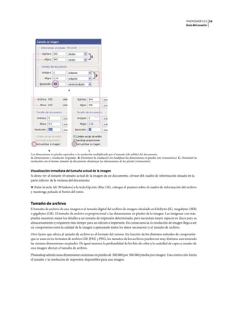 PHOTOSHOP CS3
Guía del usuario
59
Las dimensiones en píxeles equivalen a la resolución multiplicada por el tamaño (de salida) del documento.
A. Dimensiones y resolución originales B. Disminuir la resolución sin modificar las dimensiones en píxeles (sin remuestreos) C. Disminuir la
resolución con el mismo tamaño de documento disminuye las dimensiones de los píxeles (remuestreo).
Visualización inmediata del tamaño actual de la imagen
Si desea ver al instante el tamaño actual de la imagen de un documento, sírvase del cuadro de información situado en la
parte inferior de la ventana del documento.
❖ Pulse la tecla Alt (Windows) o la tecla Opción (Mac OS), coloque el puntero sobre el cuadro de información del archivo
y mantenga pulsado el botón del ratón.
Tamaño de archivo
El tamaño de archivo de una imagen es el tamaño digital del archivo de imagen calculado en kilobytes (K), megabytes (MB)
o gigabytes (GB). El tamaño de archivo es proporcional a las dimensiones en píxeles de la imagen. Las imágenes con más
píxeles muestran mejor los detalles a un tamaño de impresión determinado, pero necesitan mayor espacio en disco para su
almacenamiento y requieren más tiempo para su edición e impresión. En consecuencia, la resolución de imagen llega a ser
un compromiso entre la calidad de la imagen (capturando todos los datos necesarios) y el tamaño de archivo.
Otro factor que afecta al tamaño de archivo es el formato del mismo. En función de los distintos métodos de compresión
que se usan en los formatos de archivo GIF, JPEG y PNG, los tamaños de los archivos pueden ser muy distintos aun teniendo
las mismas dimensiones en píxeles. De igual manera, la profundidad de los bits de color y la cantidad de capas y canales de
una imagen afectan al tamaño de archivo.
Photoshop admite unas dimensiones máximas en píxeles de 300.000 por 300.000 píxeles por imagen. Esta restricción limita
el tamaño y la resolución de impresión disponibles para una imagen.
A
B C
 