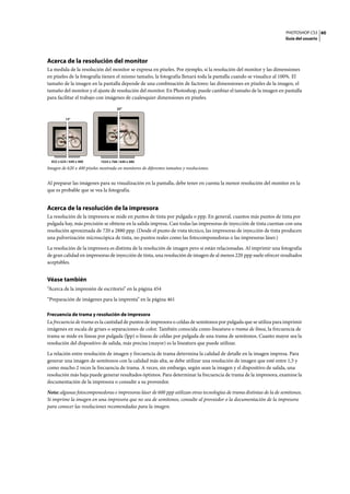 PHOTOSHOP CS3
Guía del usuario
60
Acerca de la resolución del monitor
La medida de la resolución del monitor se expresa en píxeles. Por ejemplo, si la resolución del monitor y las dimensiones
en píxeles de la fotografía tienen el mismo tamaño, la fotografía llenará toda la pantalla cuando se visualice al 100%. El
tamaño de la imagen en la pantalla depende de una combinación de factores: las dimensiones en píxeles de la imagen, el
tamaño del monitor y el ajuste de resolución del monitor. En Photoshop, puede cambiar el tamaño de la imagen en pantalla
para facilitar el trabajo con imágenes de cualesquier dimensiones en píxeles.
Imagen de 620 x 400 píxeles mostrada en monitores de diferentes tamaños y resoluciones.
Al preparar las imágenes para su visualización en la pantalla, debe tener en cuenta la menor resolución del monitor en la
que es probable que se vea la fotografía.
Acerca de la resolución de la impresora
La resolución de la impresora se mide en puntos de tinta por pulgada o ppp. En general, cuantos más puntos de tinta por
pulgada hay, más precisión se obtiene en la salida impresa. Casi todas las impresoras de inyección de tinta cuentan con una
resolución aproximada de 720 a 2880 ppp. (Desde el punto de vista técnico, las impresoras de inyección de tinta producen
una pulverización microscópica de tinta, no puntos reales como las fotocomponedoras o las impresoras láser.)
La resolución de la impresora es distinta de la resolución de imagen pero sí están relacionadas. Al imprimir una fotografía
de gran calidad en impresoras de inyección de tinta, una resolución de imagen de al menos 220 ppp suele ofrecer resultados
aceptables.
Véase también
“Acerca de la impresión de escritorio” en la página 454
“Preparación de imágenes para la imprenta” en la página 461
Frecuencia de trama y resolución de impresora
La frecuencia de trama es la cantidad de puntos de impresora o celdas de semitonos por pulgada que se utiliza para imprimir
imágenes en escala de grises o separaciones de color. También conocida como lineatura o trama de línea, la frecuencia de
trama se mide en líneas por pulgada (lpp) o líneas de celdas por pulgada de una trama de semitonos. Cuanto mayor sea la
resolución del dispositivo de salida, más precisa (mayor) es la lineatura que puede utilizar.
La relación entre resolución de imagen y frecuencia de trama determina la calidad de detalle en la imagen impresa. Para
generar una imagen de semitonos con la calidad más alta, se debe utilizar una resolución de imagen que esté entre 1,5 y
como mucho 2 veces la frecuencia de trama. A veces, sin embargo, según sean la imagen y el dispositivo de salida, una
resolución más baja puede generar resultados óptimos. Para determinar la frecuencia de trama de la impresora, examine la
documentación de la impresora o consulte a su proveedor.
Nota: algunas fotocomponedoras e impresoras láser de 600 ppp utilizan otras tecnologías de trama distintas de la de semitonos.
Si imprime la imagen en una impresora que no sea de semitonos, consulte al proveedor o la documentación de la impresora
para conocer las resoluciones recomendadas para la imagen.
15"
20"
1024 x 768 / 640 x 480832 x 624 / 640 x 480
 