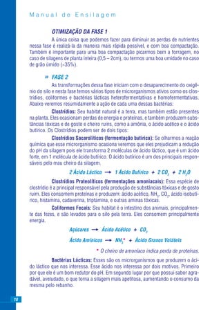Manual de Ensilagem

                OTIMIZAÇÃO DA FASE 1
                A única coisa que podemos fazer para diminuir as perdas de nutrientes
     nessa fase é realizá-la da maneira mais rápida possível, e com boa compactação.
     Também é importante para uma boa compactação picarmos bem a forragem, no
     caso de silagens de planta inteira (0,5 – 2cm), ou termos uma boa umidade no caso
     de grão úmido (~35%).

            »   FASE 2
                 As transformações dessa fase iniciam com o desaparecimento do oxigê-
     nio do silo e nesta fase temos vários tipos de microrganismos ativos como os clos-
     trídios, coliformes e bactérias lácticas heterofermentativas e homofermentativas.
     Abaixo veremos resumidamente a ação de cada uma dessas bactérias:
                 Clostrídios: Seu habitat natural é a terra, mas também estão presentes
     na planta. Eles ocasionam perdas de energia e proteínas, e também produzem subs-
     tâncias tóxicas e de gosto e cheiro ruins, como a amônia, o ácido acético e o ácido
     butírico. Os Clostrídios podem ser de dois tipos:
                 Clostrídios Sacarolíticos (fermentação butírica): Se olharmos a reação
     química que esse microrganismo ocasiona veremos que eles prejudicam a redução
     do pH da silagem pois ele transforma 2 moléculas de ácido láctico, que é um ácido
     forte, em 1 molécula de ácido butírico. O ácido butírico é um dos principais respon-
     sáveis pelo mau cheiro da silagem.
                         2 Ácido Láctico        1 Ácido Butírico   + 2 CO2 + 2 H2O
                 Clostrídios Proteolíticos (fermentações amoniacais): Essa espécie de
     clostrídio é a principal responsável pela produção de substâncias tóxicas e de gosto
     ruim. Eles consomem proteínas e produzem: ácido acético, NH3, CO2, ácido isobutí-
     rico, histamina, cadaverina, triptamina, e outras aminas tóxicas.
                 Coliformes Fecais: Seu habitat é o intestino dos animais, principalmen-
     te das fezes, e são levados para o silo pela terra. Eles consomem principalmente
     energia.
                         Açúcares          Ácido Acético   + CO2
                         Ácido Amínicos          NH3*   + Ácido Graxos Voláteis
                                      * O cheiro de amoníaco indica perda de proteínas.
                Bactérias Lácticas: Esses são os microrganismos que produzem o áci-
     do láctico que nos interessa. Esse ácido nos interessa por dois motivos. Primeiro
     por que ele é um bom redutor do pH. Em segundo lugar por que possui sabor agra-
     dável, aveludado, o que torna a silagem mais apetitosa, aumentando o consumo da
     mesma pelo rebanho.

10
 
