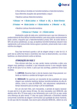 A ﬂora láctica é dividida em homofermentativa e heterofermentativa.
          Suas diferentes atuações são apresentadas a seguir:
          • Bactéria Lácticas Heterofermentativa

       1 Glicose       1 Ácido Láctico   + 1 Álcool + CO2 + Ácido Fórmico
       3 Frutose       Ácido Láctico   + 1 Ácido Acético + 2 Manitol + CO2
          • Bactéria Lácticas Homofermentativa

                   1 Glicose ou 1 Frutose          2 Ácido Láctico
            Analisando a ação de cada uma, concluímos que o que nos interessa é a
predominância da ﬂora láctica homofermentativa, pois essa produz exclusivamente
ácido Láctico, enquanto que a heterofermentativa produz 50% de ácido láctico e
50% de outras substâncias, ou seja, as bactérias homofermentativas reduzem mais
rapidamente o pH consumindo menos açúcar e portanto, preservando mais o valor
nutritivo da silagem.

            Essa fase terminará quando o pH da silagem atingir o valor de 4,5. A
partir daí os coliformes fecais e clostrídios não mais se desenvolverão, e as únicas
bactérias a se desenvolverem serão as lácticas.

          OTIMIZAÇÃO DA FASE 2
          Para otimizar esta fase, ou seja, perder menos nutrientes e obter uma
silagem mais apetitosa e saudável, o que necessita ocorrer é uma redução rápida
do pH de 6,0 para 4,5 ou menor; e para que isso aconteça, podemos tomar duas
medidas:
          1. LIMPEZA: Devemos fazer o silo da maneira mais limpa possível, evi-
          tando ao máximo o contato da forragem com a terra.

          2. INOCULAR: Se usarmos um inoculante de boa qualidade em nossa
          silagem que contenha bactérias lácticas homofermentativas de alta eﬁ-
          ciência, como é o caso de KERA-SIL, nós reduziremos radicalmente o
          tempo necessário para se atingir o pH de estabilidade.
           Em um silo bem feito, sem inoculantes, o período de espera necessá-
rio para abrí-lo é de pelo menos 20 dias. Os silos inoculados com KERA-SIL são
abertos entre 48 e 72 horas após o seu fechamento com o pH~3,9, ou seja, existe
uma diferença de pelo menos 17 dias nos quais Coliformes e Clostrídios estarão
consumindo nutrientes da silagem e diminuindo sua qualidade de várias maneiras,
no silo que não foi inoculado. Isso ocorre pois utilizando KERA-SIL, obtem-se uma

                                                                                       11
 