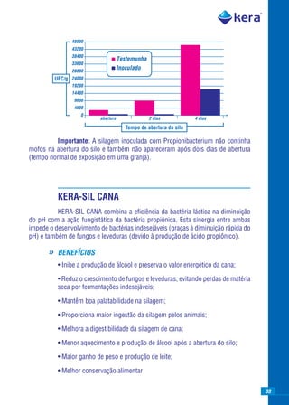 48000
                 43200
                 38400
                                       Testemunha
                 33600
                 28800
                                       Inoculado
           UFC/g 24000
                 19200
                 14400
                  9600
                  4800
                     0
                            abertura                2 dias           4 dias

                                         Tempo de abertura do silo

          Importante: A silagem inoculada com Propionibacterium não continha
mofos na abertura do silo e também não apareceram após dois dias de abertura
(tempo normal de exposição em uma granja).




            KERA-SIL CANA
          KERA-SIL CANA combina a eﬁciência da bactéria láctica na diminuição
do pH com a ação fungistática da bactéria propiônica. Esta sinergia entre ambas
impede o desenvolvimento de bactérias indesejáveis (graças à diminuição rápida do
pH) e também de fungos e leveduras (devido à produção de ácido propiônico).

       »    BENEFÍCIOS
            • Inibe a produção de álcool e preserva o valor energético da cana;

            • Reduz o crescimento de fungos e leveduras, evitando perdas de matéria
            seca por fermentações indesejáveis;

            • Mantêm boa palatabilidade na silagem;

            • Proporciona maior ingestão da silagem pelos animais;

            • Melhora a digestibilidade da silagem de cana;

            • Menor aquecimento e produção de álcool após a abertura do silo;

            • Maior ganho de peso e produção de leite;

            • Melhor conservação alimentar

                                                                                      33
 