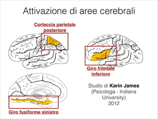 Attivazione di aree cerebrali
Giro fusiforme sinistro
Corteccia parietale
posteriore
Studio di Karin James
(Psicologa - Indiana
University)
2012
Giro frontale
inferiore
 