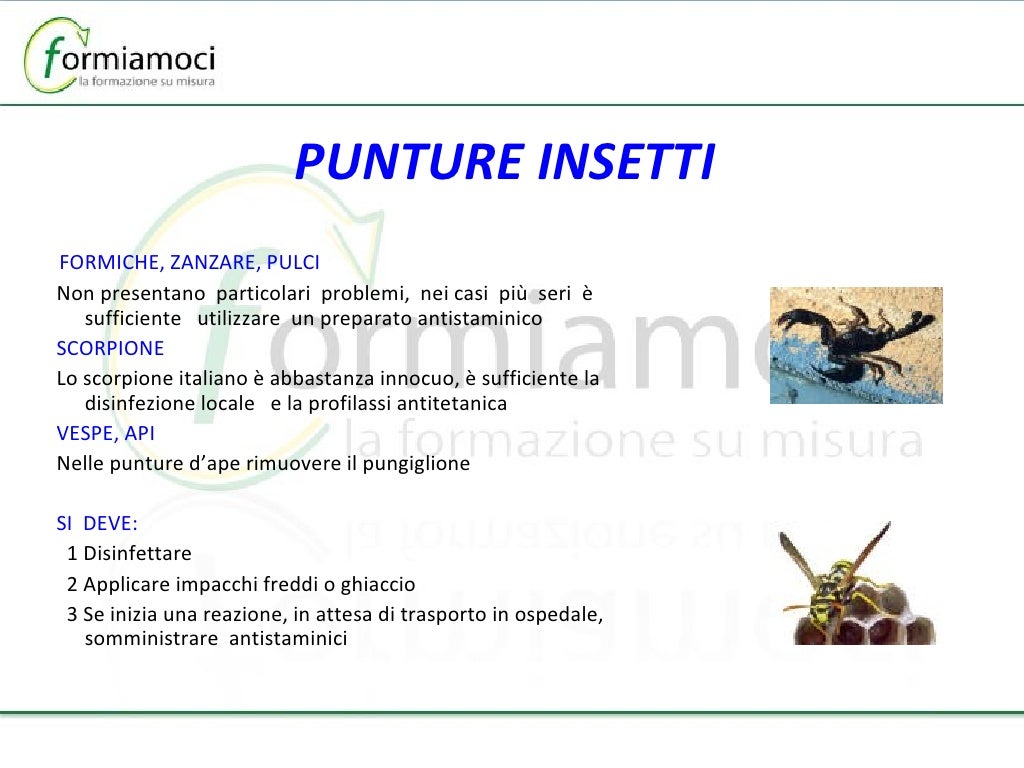 Manuale Di Primo Soccorso Croce Rossa Pdf